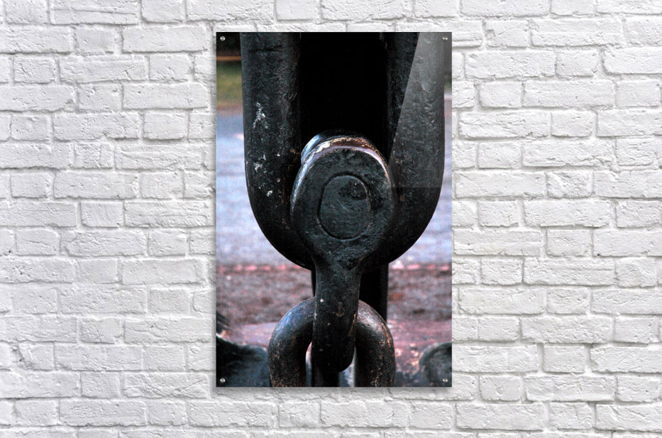 Acrylic Print